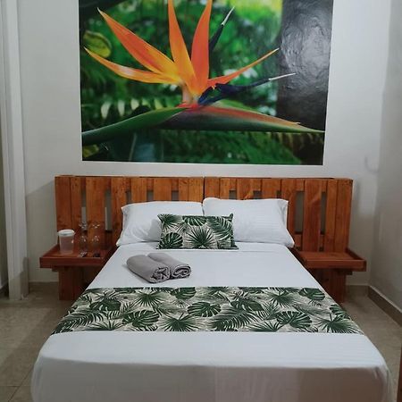 Hospedajes El Jardin Envigado Exterior photo