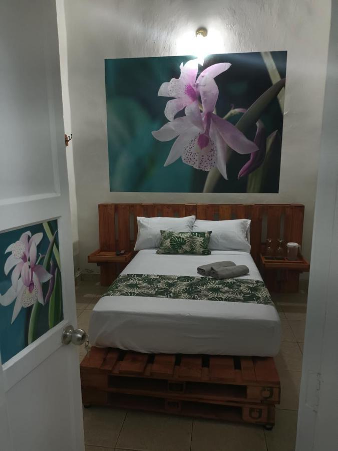 Hospedajes El Jardin Envigado Exterior photo